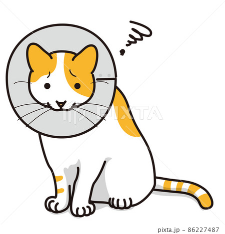 エリザベスカラーをつけた猫（毛色白オレンジ） 86227487