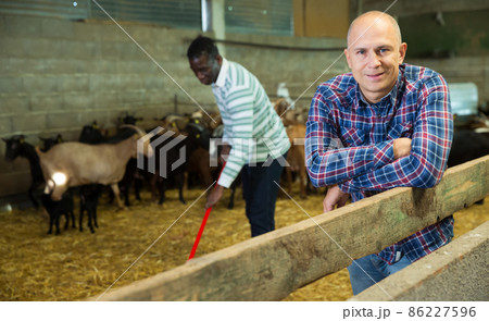 Portrait of man goat breeder 86227596