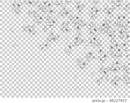 Sakura Line Frame Sakura line drawing frame ⑤ (black, lick, top) - Stock Illustration ...