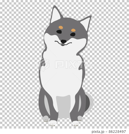 Kuroshiba sits with his neck bent 86228497