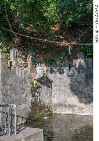 目黒不動尊瀧泉寺水かけ不動尊の瀧 目黒不動尊瀧泉寺水かけ不動尊の瀧 86228542