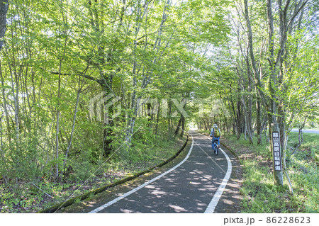 蒜山高原の初夏・新緑のサイクリングのイメージ 蒜山高原の初夏・新緑のサイクリングのイメージ 86228623