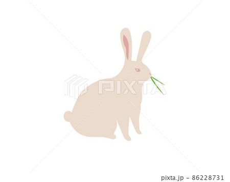 草を食べる茶色い野ウサギのベクターイラスト 草を食べる茶色い野ウサギのベクターイラスト 86228731