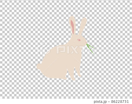 草を食べる茶色い野ウサギのベクターイラスト 草を食べる茶色い野ウサギのベクターイラスト 86228731