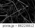 枯れ草のテクスチャー 86228812