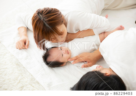 ファミリー　 86229403