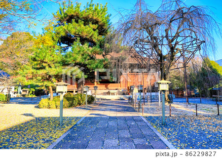 京都、大報恩寺千本釈迦堂の境内 86229827