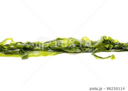 Fresh seaweed wakame isolated on white background. Copy space. Japanese food Fresh seaweed wakame isolated on white background. Copy space. Japanese food 86230114