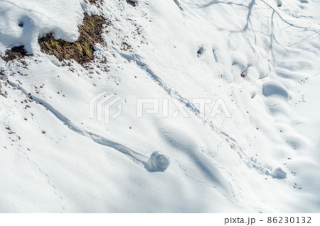 スノーボール　雪崩　前兆現象　斜面をころころ落ちてくるボールの雪のかたまり　冬の登山に注意　危険信号 86230132