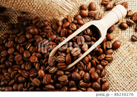 コーヒー豆 コーヒー豆 86230276