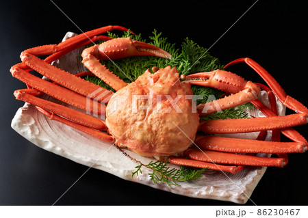ズワイガニ 86230467
