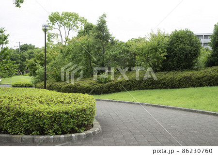 背景 カーブする公園の歩道 背景 カーブする公園の歩道 86230760