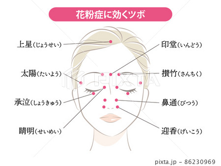 花粉症に効くツボ 花粉症に効くツボ 86230969