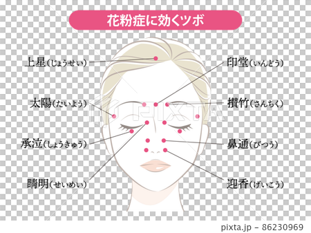 花粉症に効くツボ 花粉症に効くツボ 86230969