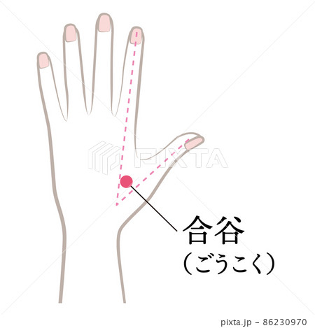 手のツボ　合谷 86230970