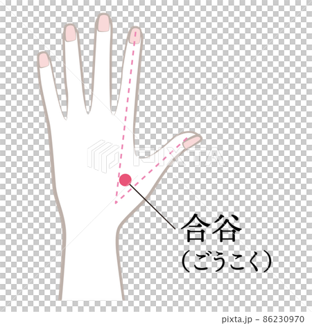 手のツボ　合谷 86230970