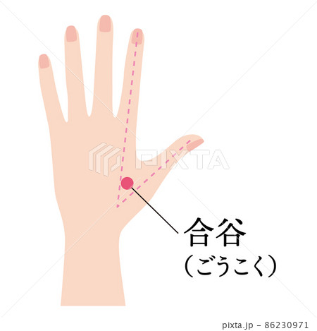 手のツボ　合谷 86230971