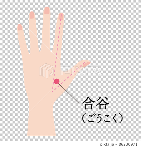 手のツボ　合谷 86230971