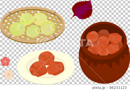 保存瓶入りのウメボシと青梅のイラストセット 86231123