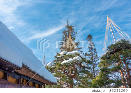 樹木を雪害から守る雪吊　茅葺屋根 86231260