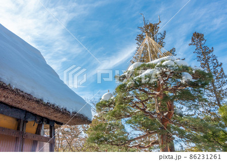 樹木を雪害から守る雪吊 茅葺屋根 樹木を雪害から守る雪吊 茅葺屋根 86231261
