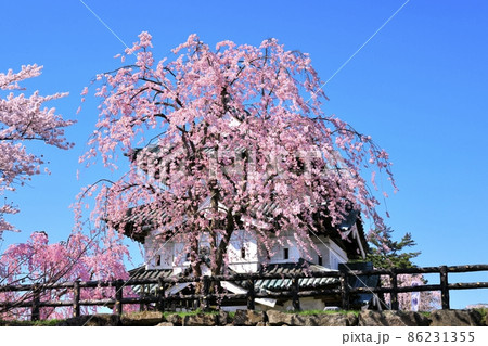 弘前城と桜 弘前城と桜 86231355