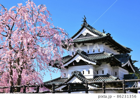 弘前城と桜 弘前城と桜 86231356