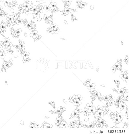 さくら線画のフレーム⑥(黒,ななめ,正方形) さくら線画のフレーム⑥(黒,ななめ,正方形) 86231583