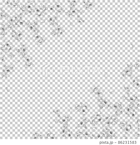 さくら線画のフレーム⑥(黒,ななめ,正方形) さくら線画のフレーム⑥(黒,ななめ,正方形) 86231583