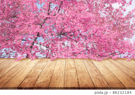Wooden table top with pink cherry blossom or sakura flowers  mock up wood desk for display or montage your products stand 86232184