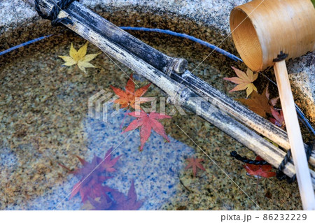 落葉 紅葉 落葉 紅葉 86232229