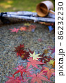 落葉　紅葉 86232230