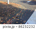 落葉　紅葉 86232232