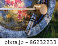 落葉　紅葉 86232233