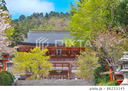 春、新緑と桜の鞍馬寺、仁王門を中心に 春、新緑と桜の鞍馬寺、仁王門を中心に 86233145