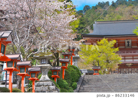 春、新緑と桜の鞍馬寺の灯籠と仁王門 春、新緑と桜の鞍馬寺の灯籠と仁王門 86233146