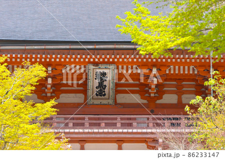 春、新緑の鞍馬寺仁王門の扁額 春、新緑の鞍馬寺仁王門の扁額 86233147