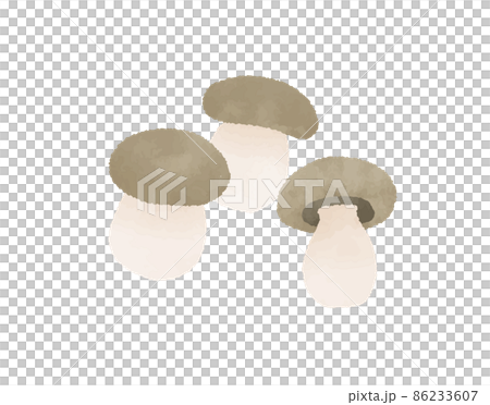 預訂Shimeji 86233607
