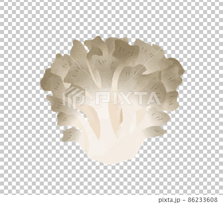 Dancers Dancers 86233608