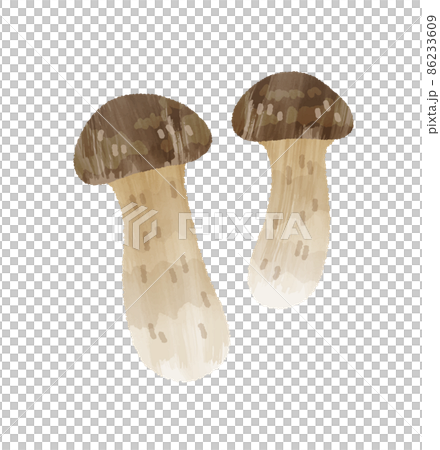 松茸 松茸 86233609