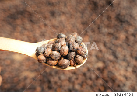 Coffee beans are dried in the greenhouse. 86234453