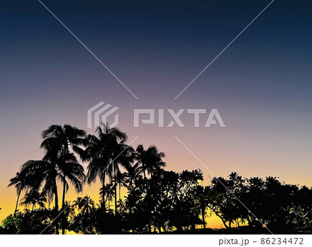 Waikiki カカアコ Waikiki カカアコ 86234472