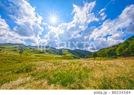 夏　高原　砥峰高原　ススキ　すすき　砥峰高原のすすき　旅 86234584