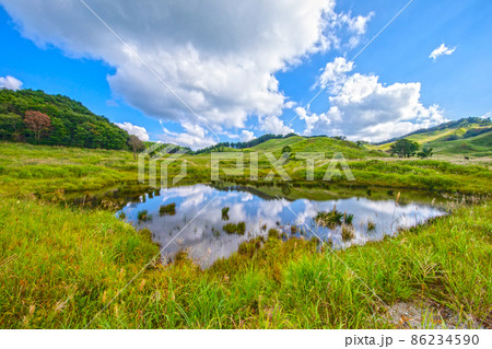 夏　高原　砥峰高原　ススキ　すすき　砥峰高原のすすき　旅 86234590