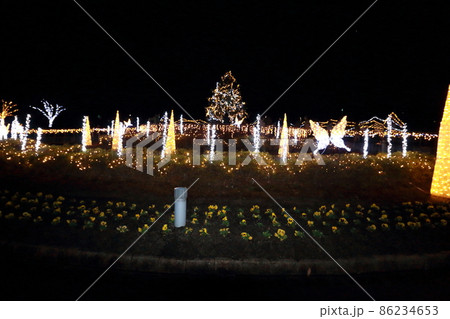 綺麗なイルミネーション 綺麗なイルミネーション 86234653