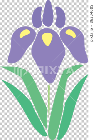 菖蒲の花 86234685