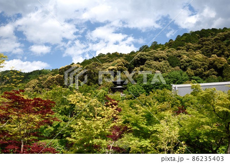 京都　新緑の永観堂の多宝塔と山 86235403
