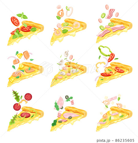 Tasty fresh hot slices of pizza with various ingredients vector illustration 86235605