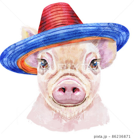 Watercolor portrait of mini pig in sombrero hat 86236871