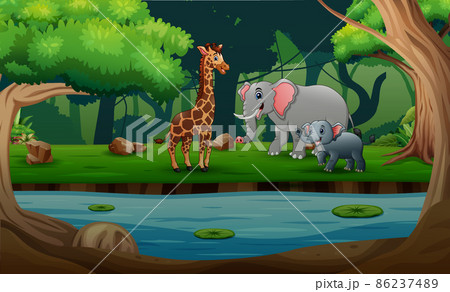 Wild animals cartoon in a forest background 86237489